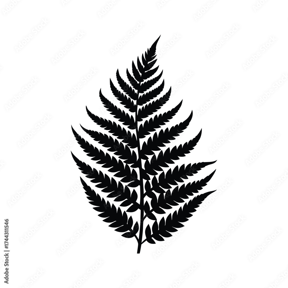 Naklejka premium Fern Leaf Silhouette Vector Illustration
