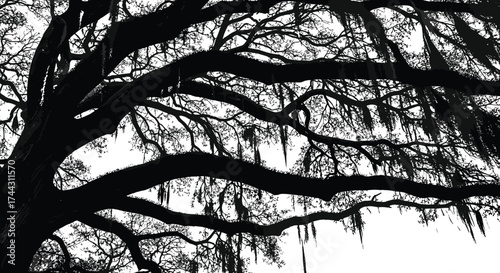 Absolutely, Khorshed! Here's a fully SEO-optimized title and keyword set tailored for Adobe Stock, designed to boost discoverability and match your high-contrast silhouette style: