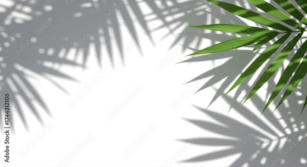 Fototapeta premium Realistic tropical leaf shadow overlay effect with summer sunlight, tranparent background.