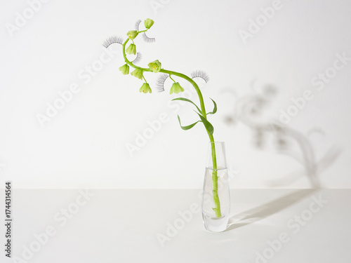 Stem of flowers in glass vase with fake eyelashes growing on white