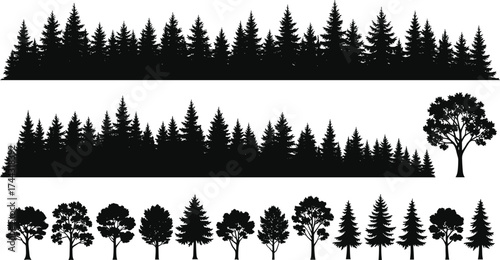 Tree silhouettes, forest rows, pine trees, fir trees, deciduo\tree diversity, forest contrast, tree set