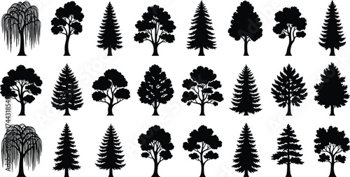 Tree silhouettes, black trees, forest shapes, botanical chart, pine, fir, willow, deciduous, nature grid, foliage icons, tree types, \ion, tree set, tree design