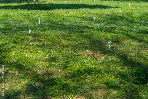 Turned off sprinklers of the irrigation system on the lawn.