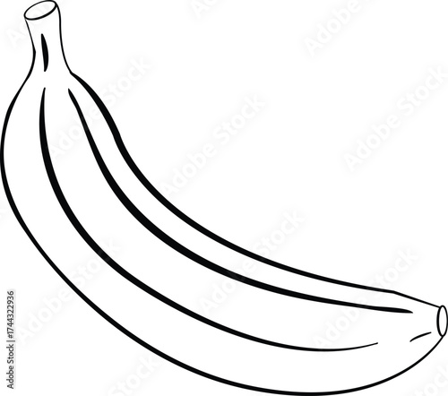 vector illustration of banana