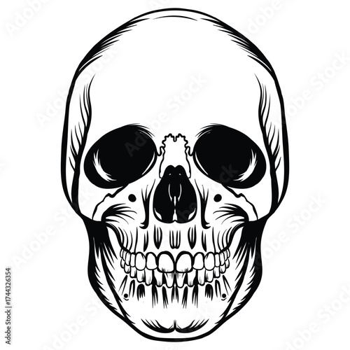 Stylized Human Skull Head Bone Design. A detailed black and white illustration of a human skull, presented from a frontal perspective. The design features bold outlines, dark eye sockets.