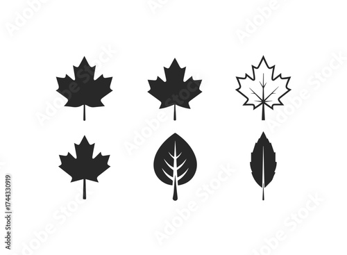 Set of various leaves in black and white