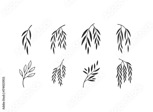 Set of hand drawn willow branches for design use