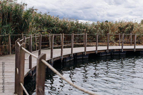 Wallpaper Mural Serene wooden walkway by the calm water surrounded by lush greenery under a cloudy sky Torontodigital.ca