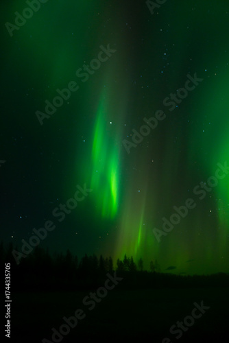 Aurora borealis Northern Lights fully covered the sky. Lapland amazing scenery