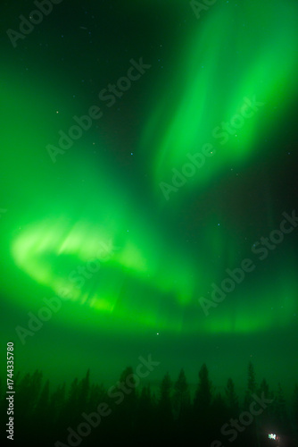 Aurora borealis Northern Lights fully covered the sky. Lapland amazing scenery