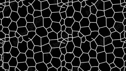 Abstract geometric cellular pattern with white lines forming irregular hexagonal shapes against a dark background organic design honeycomb structure