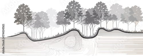 Architectural Drawings, Minimal style cad tree line drawing, Side view, set of section wetland forest outline for landscape design drawing