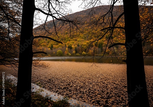 Framed view of a calm lake surrounded by autumn trees with colorful foliage and a hillside in the background, seen through dark tree trunks
