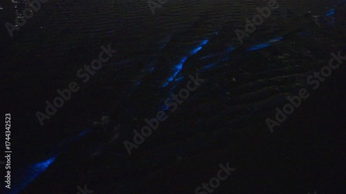 Bioluminescence (Noctiluca scintillans) in the waves