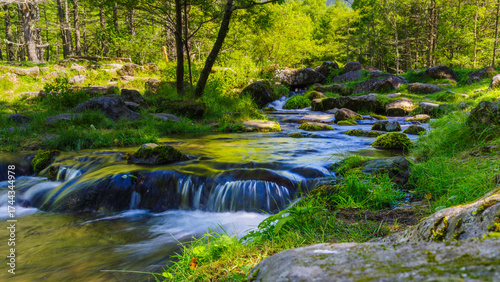 A clear mountain stream flows gently over moss-covered rocks through a lush green forest in the Japanese Alps of Nagano Prefecture, Japan. Sunlight filters through the trees, casting dappled light on 