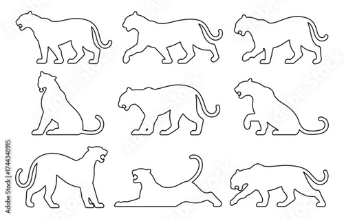 Set of stylized line drawings of panthers in various dynamic poses and movements vector