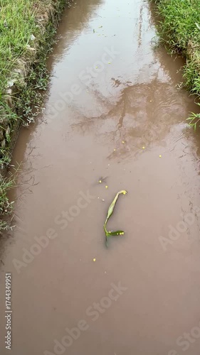 Close-up video of muddy river water flowing calmly between green grass banks in a rural area.