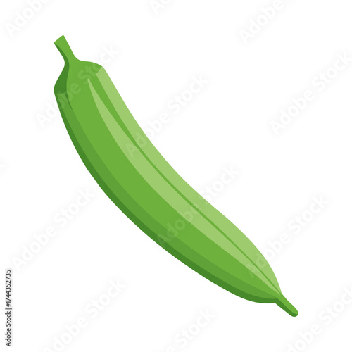 Single raw organic okra lady s finger food vector on white background.