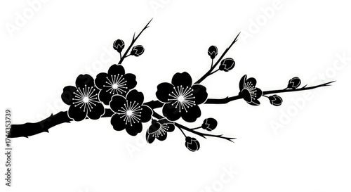 Elegant Black and White Cherry Blossom Branch Silhouette.