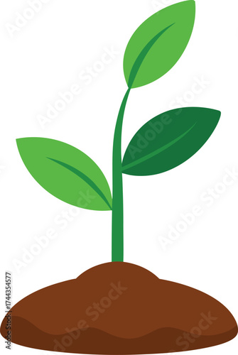 Green plant with roots on transparent background