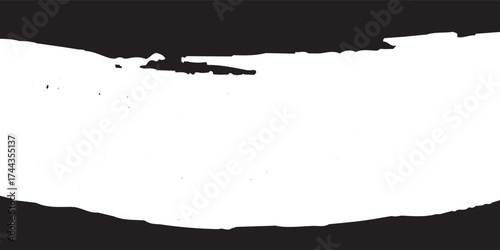 Black and white grunge. Distress overlay texture. vector