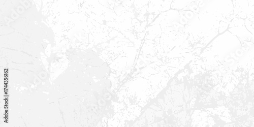 Abstract delicate white and gray textured background with subtle organic branch patterns