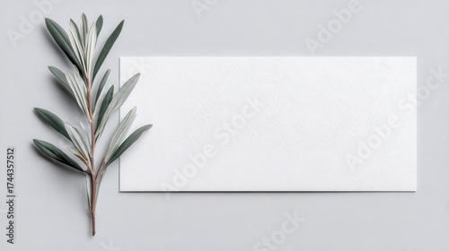 Minimal leaf branch beside blank textured card on neutral background evokes calm botanical simplicity and subtle natural elegance