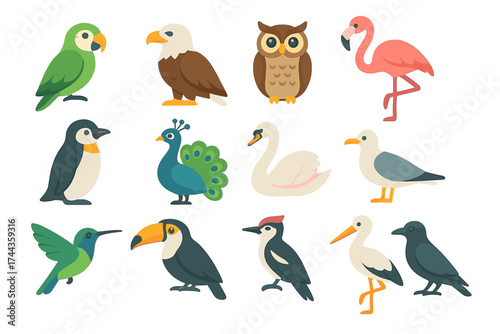 Colorful assortment of various bird species in cartoon style