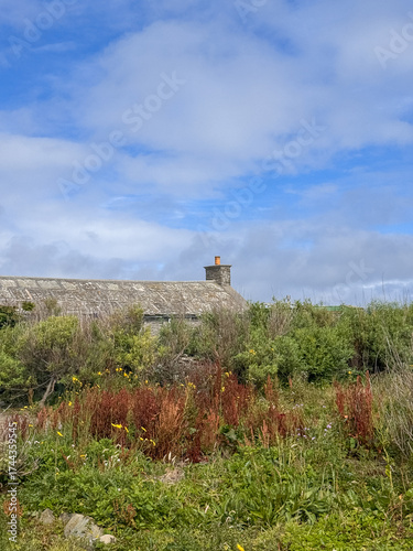 scrubby land with the roof and chimney of a stone croft house