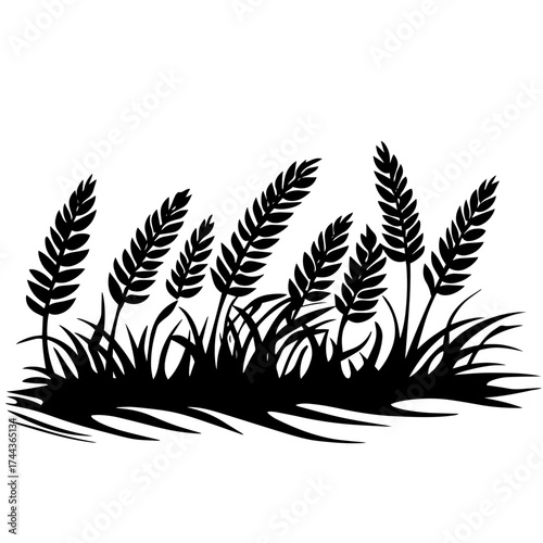 Wheat ears field silhouette — cereal grain stalks vector illustration for agriculture themes