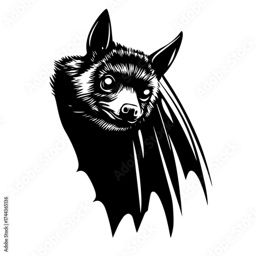 Bat silhouette — nocturnal flying mammal animal vector illustration for Halloween and nature designs