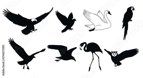 A collection of various bird silhouettes in different flying and standing poses showing diverse species.
