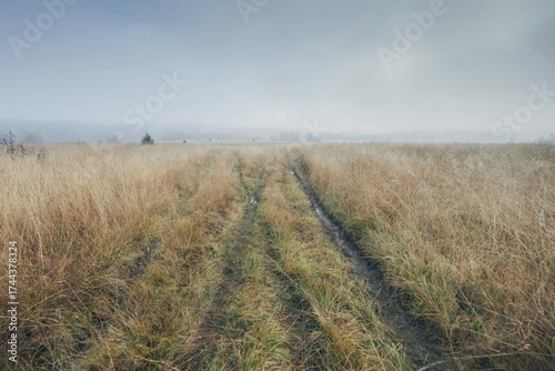 Canvastavla A rut among the meadows in autumn against the background of a foggy sky