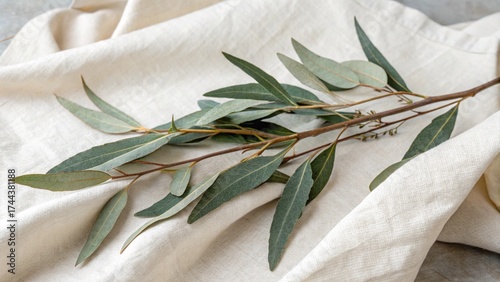 rosemary on a wooden background