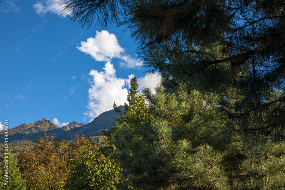 Fototapeta premium October 2025, Sochi, Krasnaya Polyana, Russia. Streets and views of the village of Krasnaya Polyana.