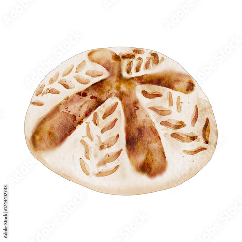 Watercolor sourdough⁠
