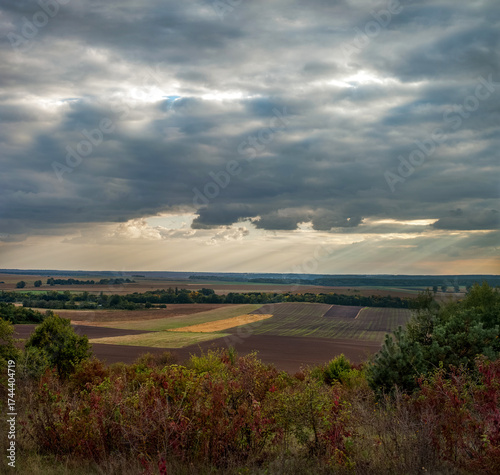 Landscape with bushes with red leaves, fields on the horizon, with sun rays t...