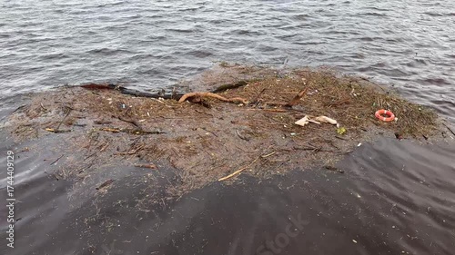 Rubbish floating on the River Clyde in Glasgow polluting the water