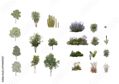 Vegetation front view vector set for section or elevations views in architectural and landscaping illustrations.