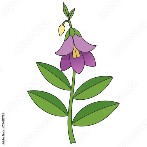 Illustration of a purple bellflower with green leaves vector drawing botanical art design image
