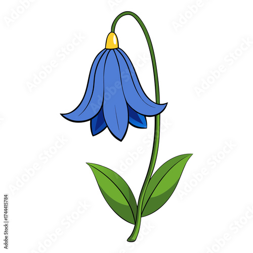 Illustration of a bluebell flower drawing with green leaves and stem for botanical art projects
