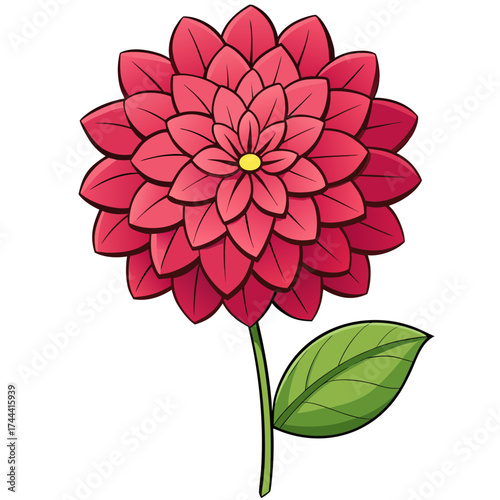 Illustration of a red dahlia flower with green leaf drawing botanical art floral design blossom bloom