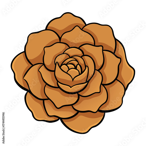 Illustration of orange succulent plant drawing vector graphic design for botanical art prints