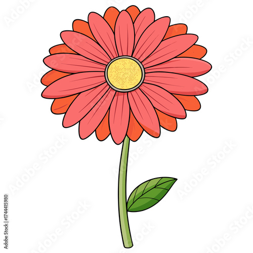 Illustration of a beautiful gerbera daisy flower with stem and leaf for floral design projects