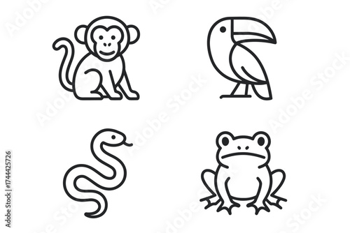Outline illustrations of monkey, toucan, snake, and frog - minimalist wildlife art
