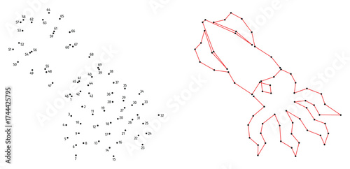 Squid. Connect the dots educational drawing game. Dot to dot by numbers puzzle. Google Font Fira Sans Condensed.