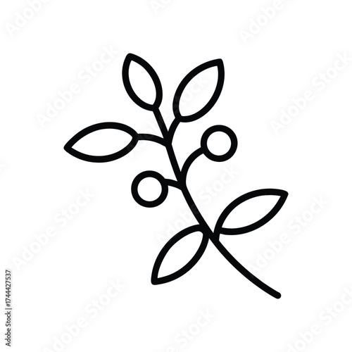 Outline vector illustration of a mistletoe branch