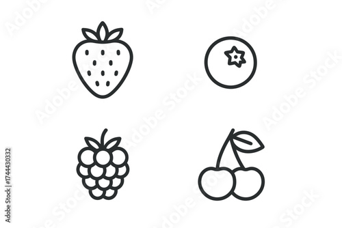 Minimalist fruit icons: strawberry, blueberry, raspberry, cherry outlines