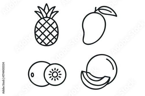 Tropical fruit outlines: pineapple, mango, kiwi, melon icon set