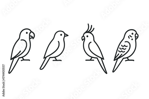 Outline illustrations of four different bird species in profile view